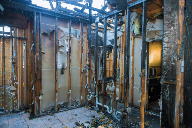 Professional Fire Damage Assessment technician working in Colonia, NJ